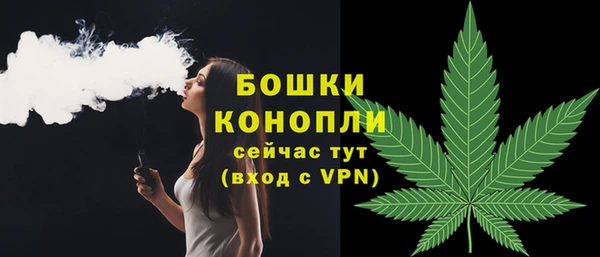 кокс Гусев
