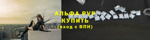 mdpv Горно-Алтайск