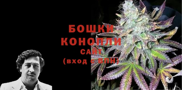 mdpv Горно-Алтайск