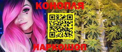 гидропоника Бийск