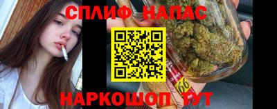 гидропоника Бийск