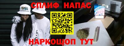 гидра Беслан