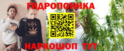 гидропоника Бийск