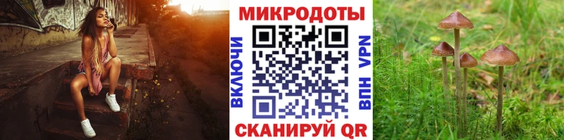Галлюциногенные грибы Cubensis  как найти закладки  Кизляр 
