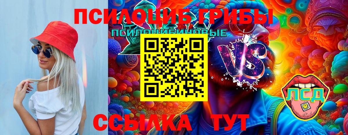 Галлюциногенные грибы MAGIC MUSHROOMS Кизляр