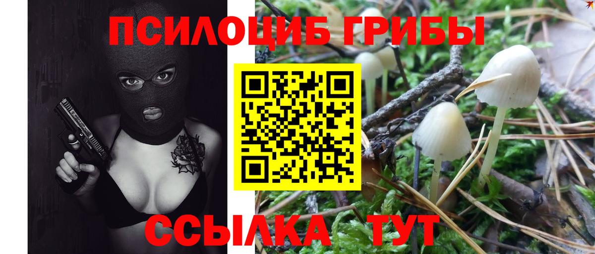 Псилоцибиновые грибы Magic Shrooms  Вход с VPN  Кизляр 